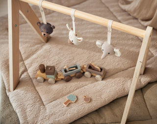 Jollein Baby Gym Toys - Animals